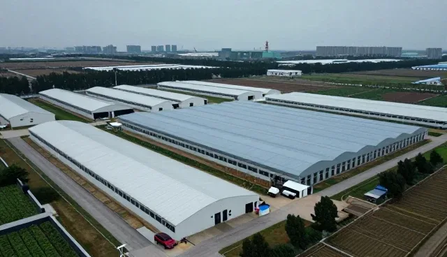 技术支持如何利用定制开发服务提升价值